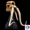 WETA Workshop Studio – SKULL OF A MÛMAK 86-13-04691 (Licensed) - Photo 3 | TopGKStore