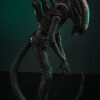 Hottoys – Alien Big Chap 1/6th scale Collectible Figure MMS826 (Licensed) - Photo 18 | TopGKStore