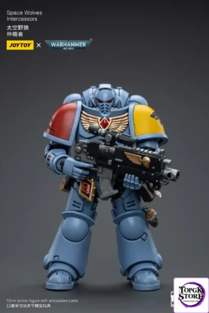 JOYTOY - 1/18 Space Wolves Intercessors Warhammer JT6625 (Licensed) - Photo 1 | TopGKStore