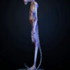Deep Tale Studio – Chestburster (Alien: Covenant) Alien - Photo 5 | TopGKStore