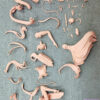 Pepeho Studio – Shu Arknights - Photo 2 | TopGKStore