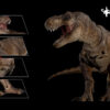 Nanmu Studio – Tyrannosaurus Rex 3.0 “Eternal Empress of Origins” & “Sovereign of the Oath”