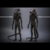 Hottoys – Alien Big Chap 1/6th scale Collectible Figure MMS826 (Licensed) - Photo 19 | TopGKStore