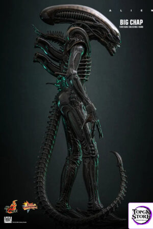 Hottoys – Alien Big Chap 1/6th scale Collectible Figure MMS826 (Licensed) - Photo 2 | TopGKStore