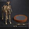 101TOYS – 1/12 PALM ELF SERIES Skeleton movable horse series set NO.ES028 NO.ES029 NO.ES030 NO.ES031 (Licensed) - Photo