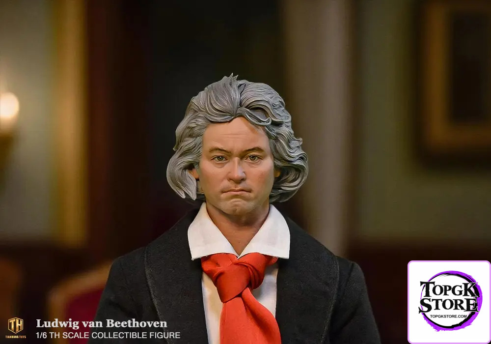 THTOYS – Ludwig van Beethoven 1/6 Action Figure THA004 (Licensed) - Photo 13 | TopGKStore