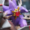 MG Studio – MEGA Starmie VS MEGA Excadrill Pokémon - Photo 2 | TopGKStore