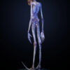 Deep Tale Studio – Chestburster (Alien: Covenant) Alien - Photo 7 | TopGKStore