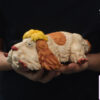 Shen Yin Studio – Encounter Series Heen on Rest Howl’s Moving Castle - Photo 4 | TopGKStore