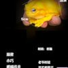 COR Studio – Tree Frog (Licensed) - Photo 3 | TopGKStore