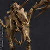 101TOYS – 1/12 PALM ELF SERIES Skeleton movable horse series set NO.ES028 NO.ES029 NO.ES030 NO.ES031 (Licensed) - Photo