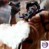 Call of Duty Konig 1/6 Scale 18+Furry Resin Statue Zayico Studio - Photo 11 | TopGKStore