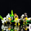 SuBa Studio – Farfetch’d Evolution Set Pokémon - Photo 1 | TopGKStore