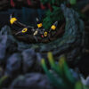 ZR Studio – Pokémon Umbreon - Photo 5 | TopGKStore