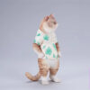 JXK – Fruit Stall Cat Boss JXK-AI09ABC (Licensed) - Photo 4 | TopGKStore