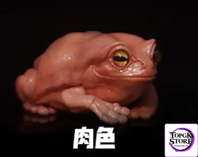 COR Studio – Tree Frog (Licensed) - Photo 11 | TopGKStore
