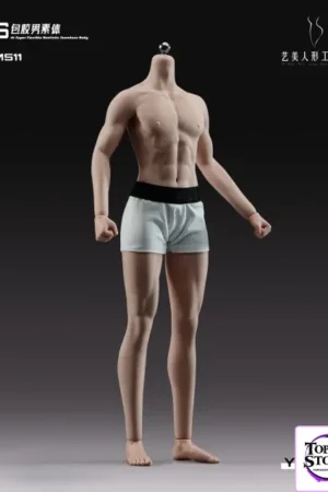 Yi Mei Ren Xing Studio - 1/6 Muscular Seamless Male Body YM511 (Licensed) - Photo 1 | TopGKStore