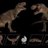 Nanmu Studio – Tyrannosaurus Rex 3.0 “Eternal Empress of Origins” & “Sovereign of the Oath”