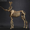 101TOYS – 1/12 PALM ELF SERIES Skeleton movable horse series set NO.ES028 NO.ES029 NO.ES030 NO.ES031 (Licensed) - Photo
