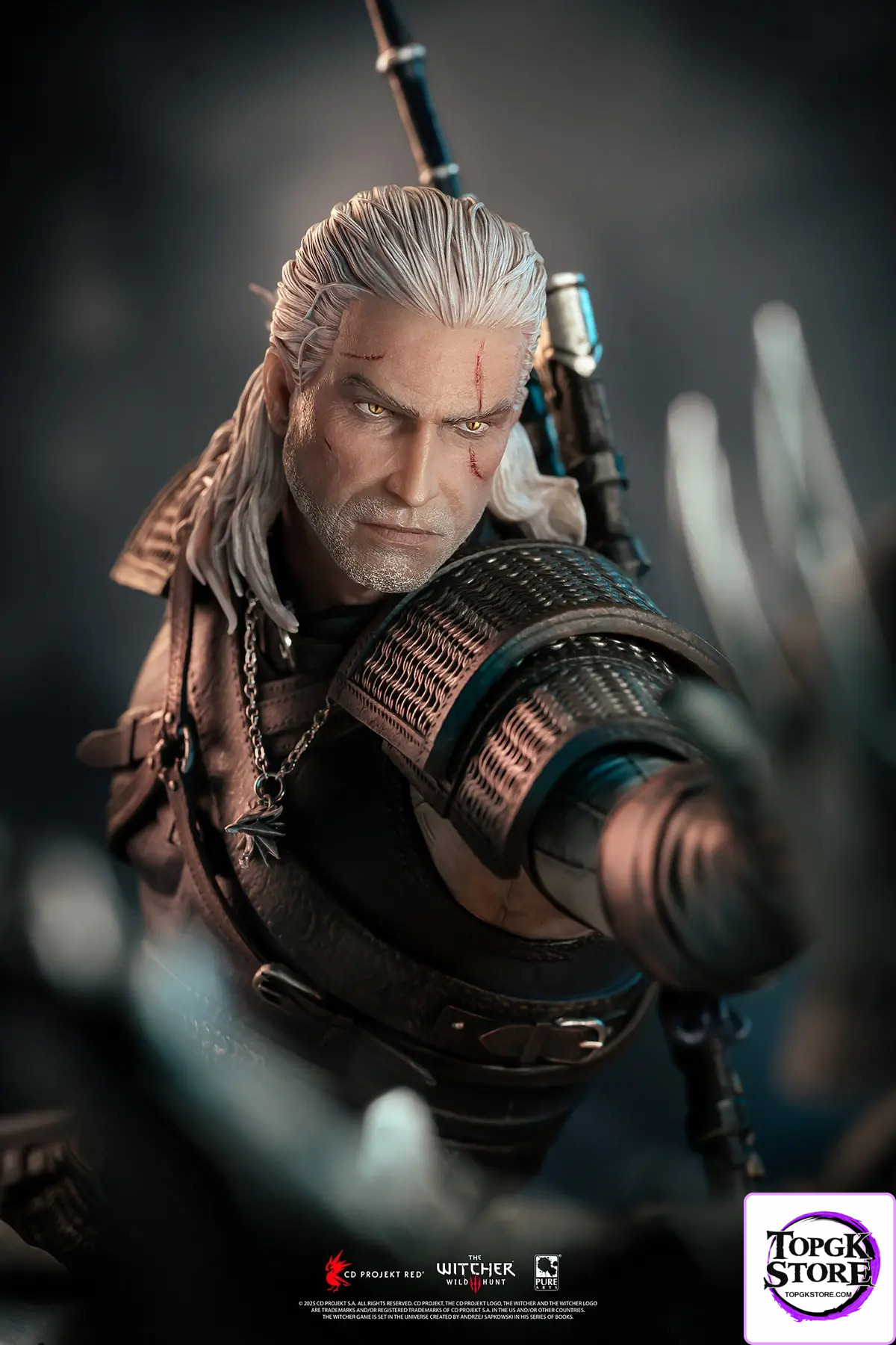 PureArts Studio – The Witcher 3: Wild Hunt Geralt vs Eredin 1/6 Scale Diorama PA011TW (Licensed) - Photo 8 | TopGKStore