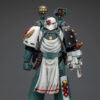 JOYTOY – Sons of Horus Legion X Sons of Horus Legion X Imperial Fists Legion JT02441 JT02458 JT02465 JT02472 (Licensed)