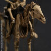 101TOYS – 1/12 PALM ELF SERIES Skeleton movable horse series set NO.ES028 NO.ES029 NO.ES030 NO.ES031 (Licensed) - Photo