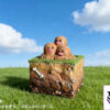JC Studio – First Generation 151 Series #121 Diglett X #122 Dugtrio Pokémon - Photo 3 | TopGKStore