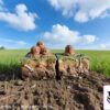 JC Studio – First Generation 151 Series #121 Diglett X #122 Dugtrio Pokémon - Photo 4 | TopGKStore