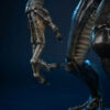 Premium Collectibles Studio – Grid Alien – 1/2 Scale Statue (Licensed) - Photo 27 | TopGKStore