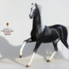 Mr.Z – Ferghana Horse 1/6 Statue (Licensed) - Photo 36 | TopGKStore
