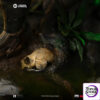 Iron Studio – Statue Jungle Hunter – Predator – Art Scale 1/10 FOXPR126725-10 (Licensed) - Photo 11 | TopGK