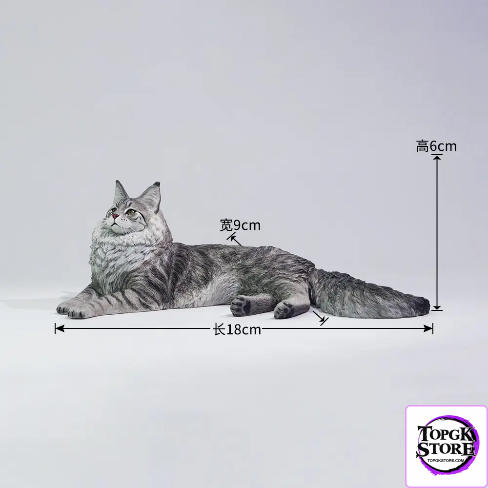Lieji – 1/6 Maine Coon D2507A (Licensed) - Photo 6 | TopGKStore