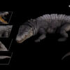 Nanmu Studio – Smart Series Saltwater Crocodile The Omen King X Lord of Blood Super Articulated Action Figure (Licensed