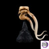 WETA Workshop Studio – SKULL OF A MÛMAK 86-13-04691 (Licensed) - Photo 5 | TopGKStore