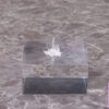 SnowBall – Restarting Summer: Touka A Midsummer Day of Indulgence with a Mature Beauty and Mother Scale Figure (License