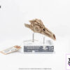 Elite Creature Collectibles (ECC) – Jurassic Park III Female Velociraptor White Queen & JP3 Velociraptor Resonating