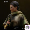 Iron Studio – Leia and Wicket 1:10 Scale Statue LUCSWR126625-10 (Licensed) - Photo 5 | TopGKStore