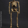 101TOYS – 1/12 PALM ELF SERIES Skeleton movable horse series set NO.ES028 NO.ES029 NO.ES030 NO.ES031 (Licensed) - Photo