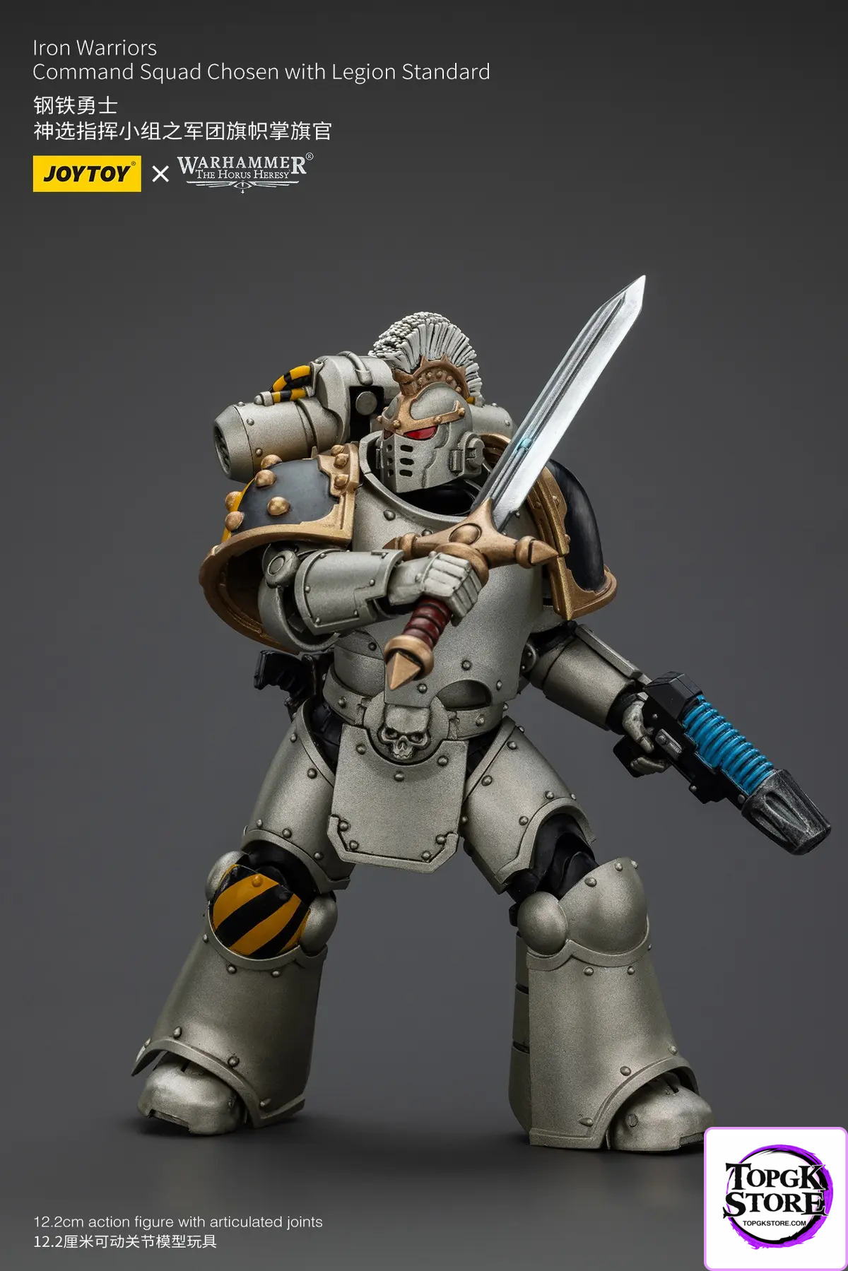 JOYTOY – Iron Warrior Legion Banner Bearer of the Chosen Command Squad JT01765 (Licensed) - Photo 5 | TopGKStore
