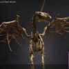 101TOYS – 1/12 PALM ELF SERIES Skeleton movable horse series set NO.ES028 NO.ES029 NO.ES030 NO.ES031 (Licensed) - Photo