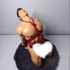 Salted Fish Studio – Desire (Licensed) - Photo 6 | TopGKStore