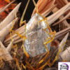 TITAN Studio – Eren Jaeger X Reiner Braun Attack on Titan - Photo 7 | TopGKStore