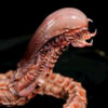 3109 Studio – Chestburster Alien vs. Predator - Photo 9 | TopGKStore