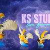 KS Studio – Pokémon Mega Dragonite - Photo 4 | TopGKStore