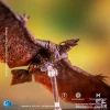 HIYA Studio – Exquisite Basic Series None Scale 5 Inch Godzilla King of the Monsters Rodan Action Figure EBG0074 - Phot