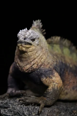 Artist design 1/10 | 1/4 GK - Original | Aphid Studio