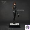 JND Studio - Batman: The Dark Knight Trilogy 1/6 Catwoman Selina Kyle KJW-004C (Licensed) - Photo 4 | TopGKStore