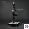 JND Studio - Batman: The Dark Knight Trilogy 1/6 Catwoman Selina Kyle KJW-004C (Licensed) - Photo 7 | TopGKStore