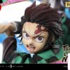 Demon Slayer: Kimetsu no Yaiba KAMADO TANJIRO & KAMADO NEZUKO - Photo 19 | TopGKStore