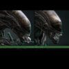 Hottoys – Alien Big Chap 1/6th scale Collectible Figure MMS826 (Licensed) - Photo 7 | TopGKStore